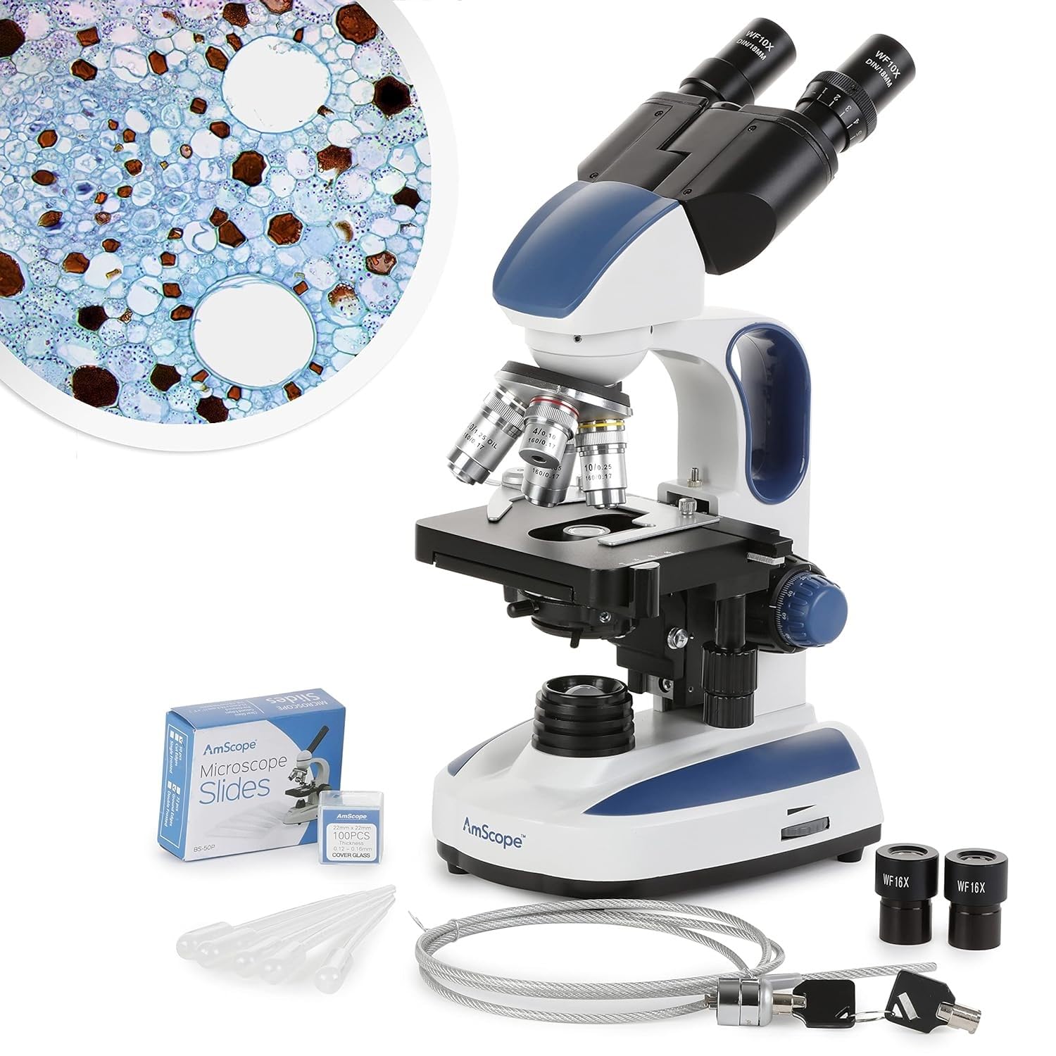 Amazon.com: AmScope - 40X-2500X Advanced Student and Professional
